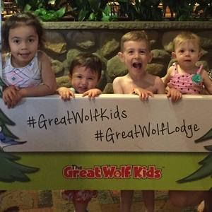 Meet your Posher, Liz